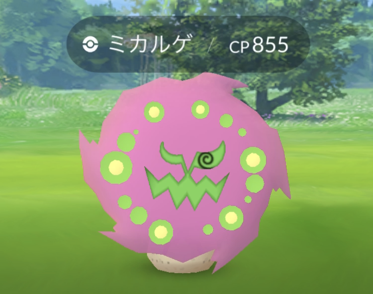 ポケモンgo ミカルゲタスク８連続やってみた うえとゆゆのゲームブログ