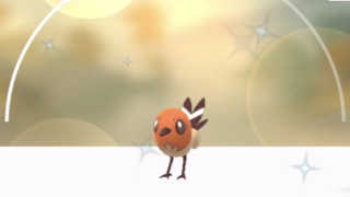 ポコダン 大航海クエスト 立ちはだかる逆襲の荒波 エリア2 うえとゆゆのゲームブログ